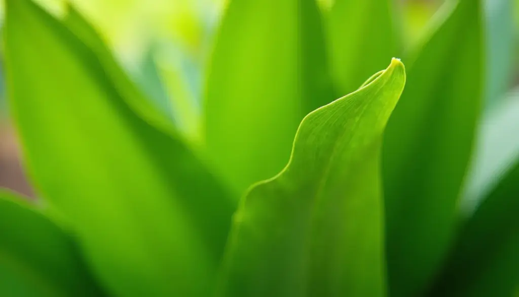 Solo Ácido? Verduras Incríveis que Você Precisa Conhecer em 2026! Solo Ácido? Verduras Incríveis que Você Precisa Conhecer em 2026!